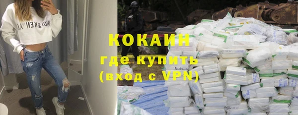 сатива Дмитриев