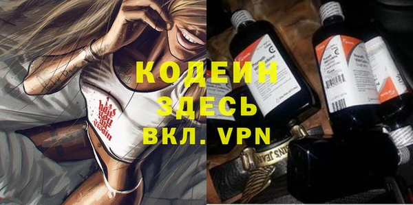 сатива Дмитриев