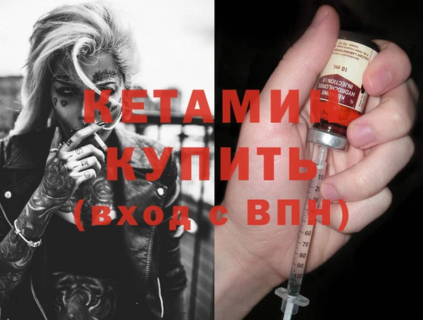 сатива Дмитриев