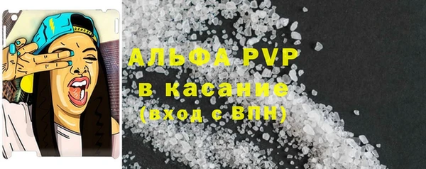 сатива Дмитриев