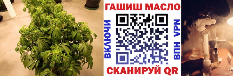 Дистиллят ТГК Wax Мезень